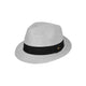 Harley Trilby